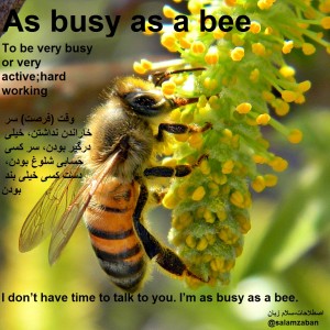 As-busy-as-a-bee2