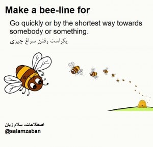 Make a bee-line for