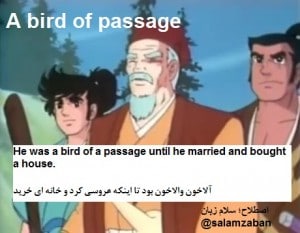 A bird of passage (2)
