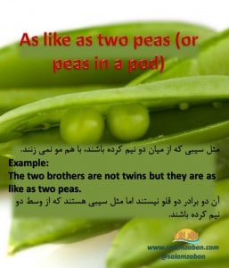 As like as two peas (or peas in a pod)