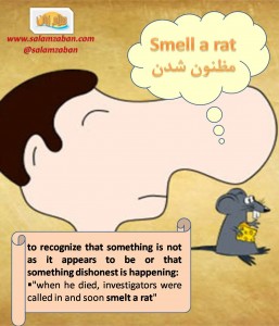 Smell a rat