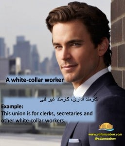 a white collar worker